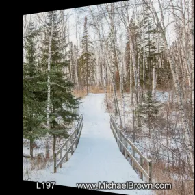 L197 Woodland Bridge