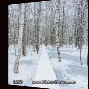 L298 Through the Woods