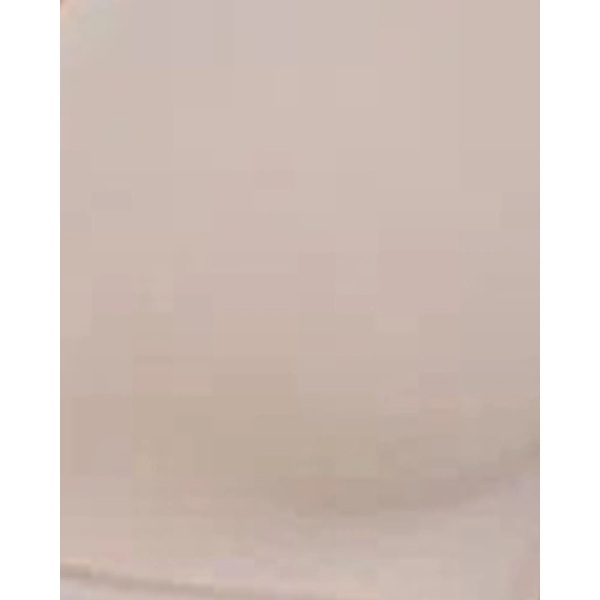 Prestige Wirefree Push Up Plunge Bra Cashmere